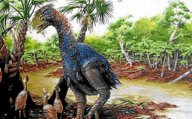 Un pájaro gigante vivió en el Ártico hace 50 millones de años