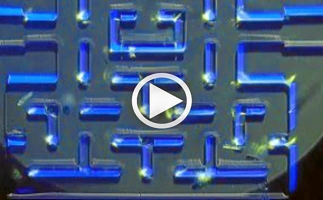 Crean un microscopio para móviles que permite jugar al PacMan con ...