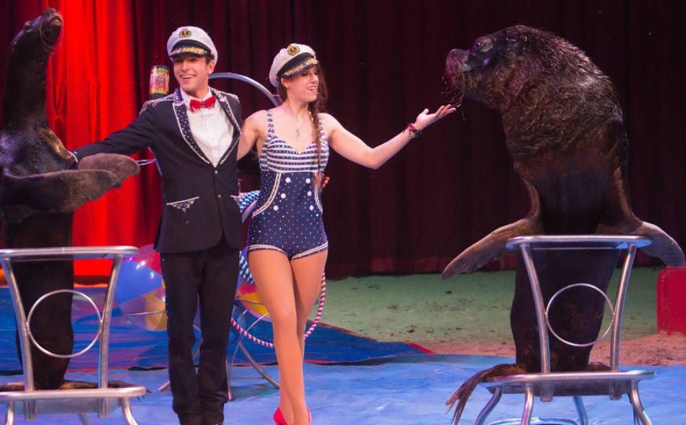 Gran Circo Alaska: Nuevo espectáculo en Sevilla