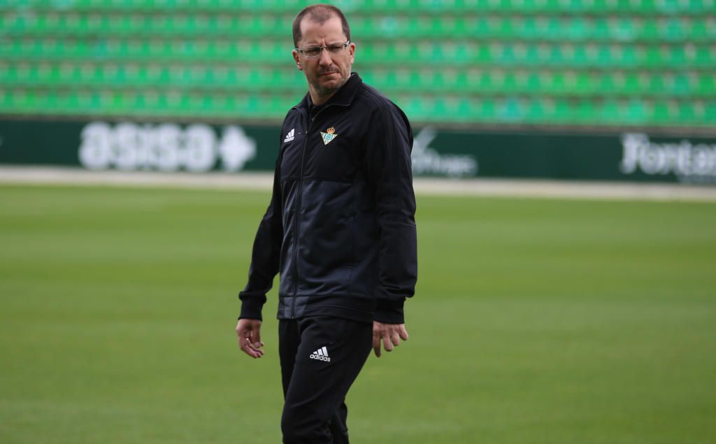 Así queda el organigrama de los equipos de la cantera del Betis