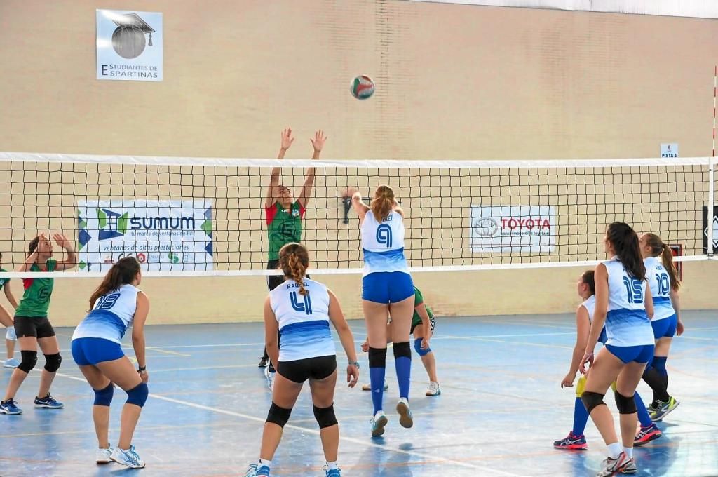 Espartinas acoge el VI Maratón de voleibol