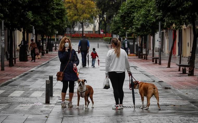 Las mascotas contagiadas de la covid-19 apenas desarrollan síntomas
