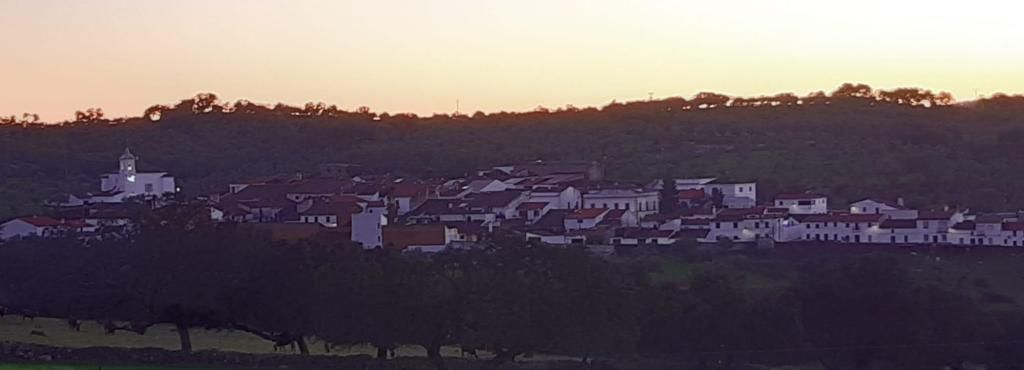 Andalucía registra 276 municipios sin casos Covid en los últimos 14 días