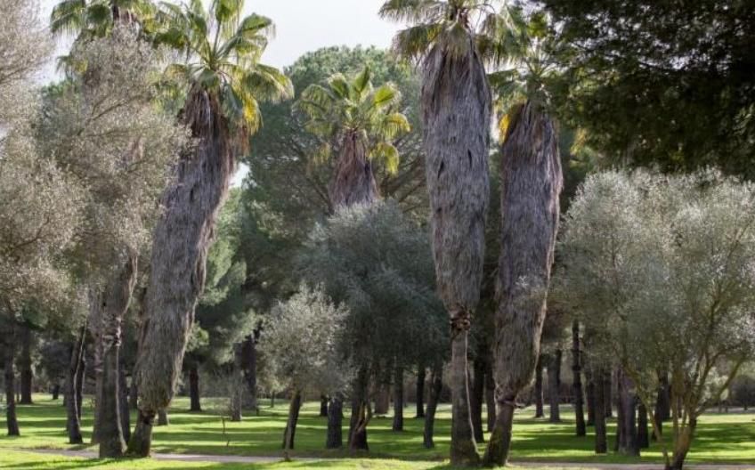 Parque Periurbano de la Corchuela, un entorno natural cercano