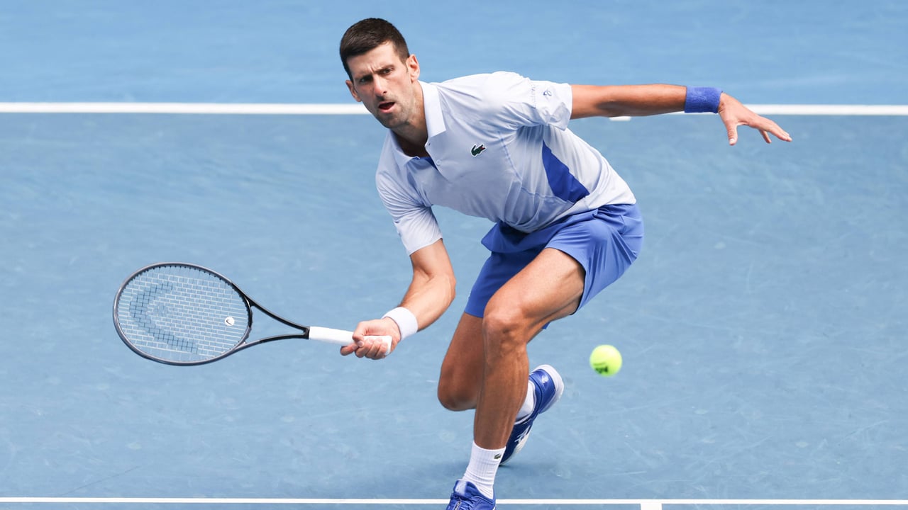 ¿Cuántos Grand Slams ha ganado Novak Djokovic?