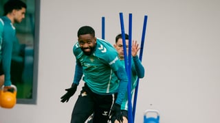 La convocatoria del Betis para los octavos de la Europa League: ante el Panathinaikos, los mismos que contra el Getafe