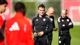 El Sevilla FC no para de recuperar efectivos desde la llegada de Luis García Plaza: este jueves, dos refuerzos más