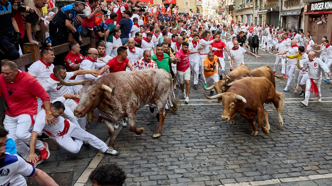 San Fermín 2024 | Peligroso séptimo encierro con siete heridos con los toros de José Escolar