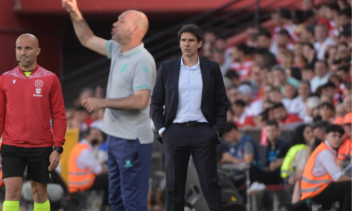 Los cambios y la actitud de Aitor Karanka que desesperan a la afición del Granada