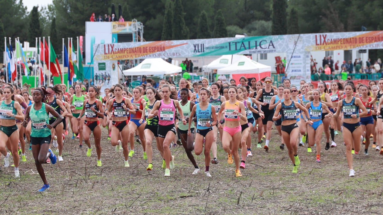 Las novedades que protagonizarán la edición del Cross Internacional de Itálica