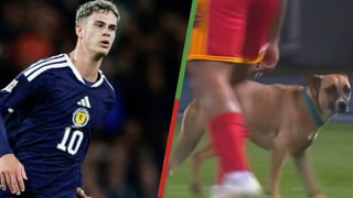 Un perro acapara protagonismo en la nueva aparición de Robbie Ure en el Macedonia del Norte - Escocia 