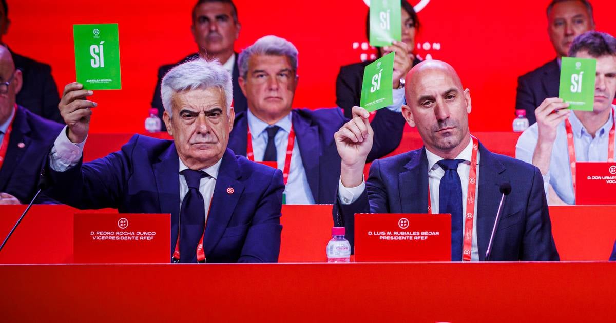 El TAD suspende a Pedro Rocha