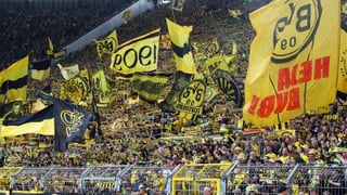 Advertencia del Borussia Dortmund a la afición del Betis: impone duras restricciones para conseguir una entrada