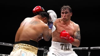 Categorías y pesos del boxeo profesional