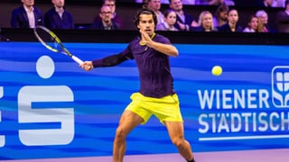 Carlos Alcaraz - Tommy Paul: Horario, canal y dónde ver hoy en TV y online el partido de Alcaraz en el ATP 500 de Viena 2026