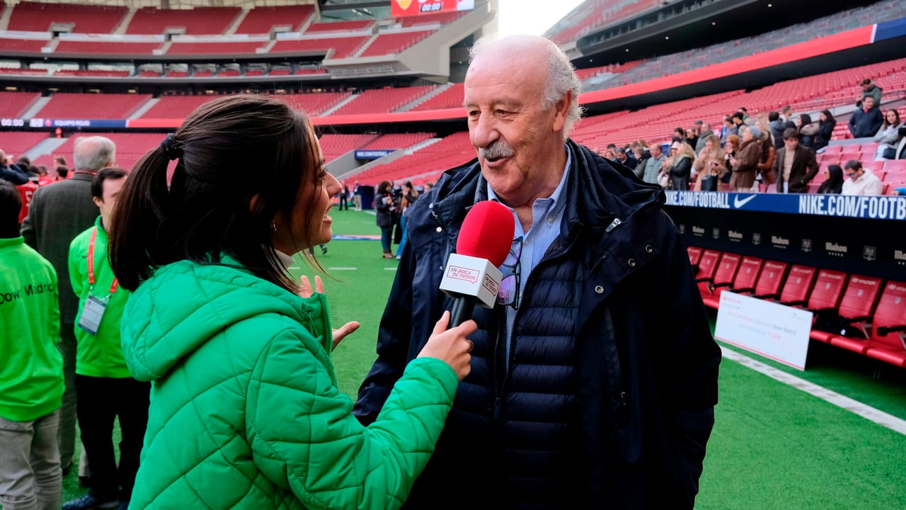 Del Bosque deja de ser consejero de Iberdrola