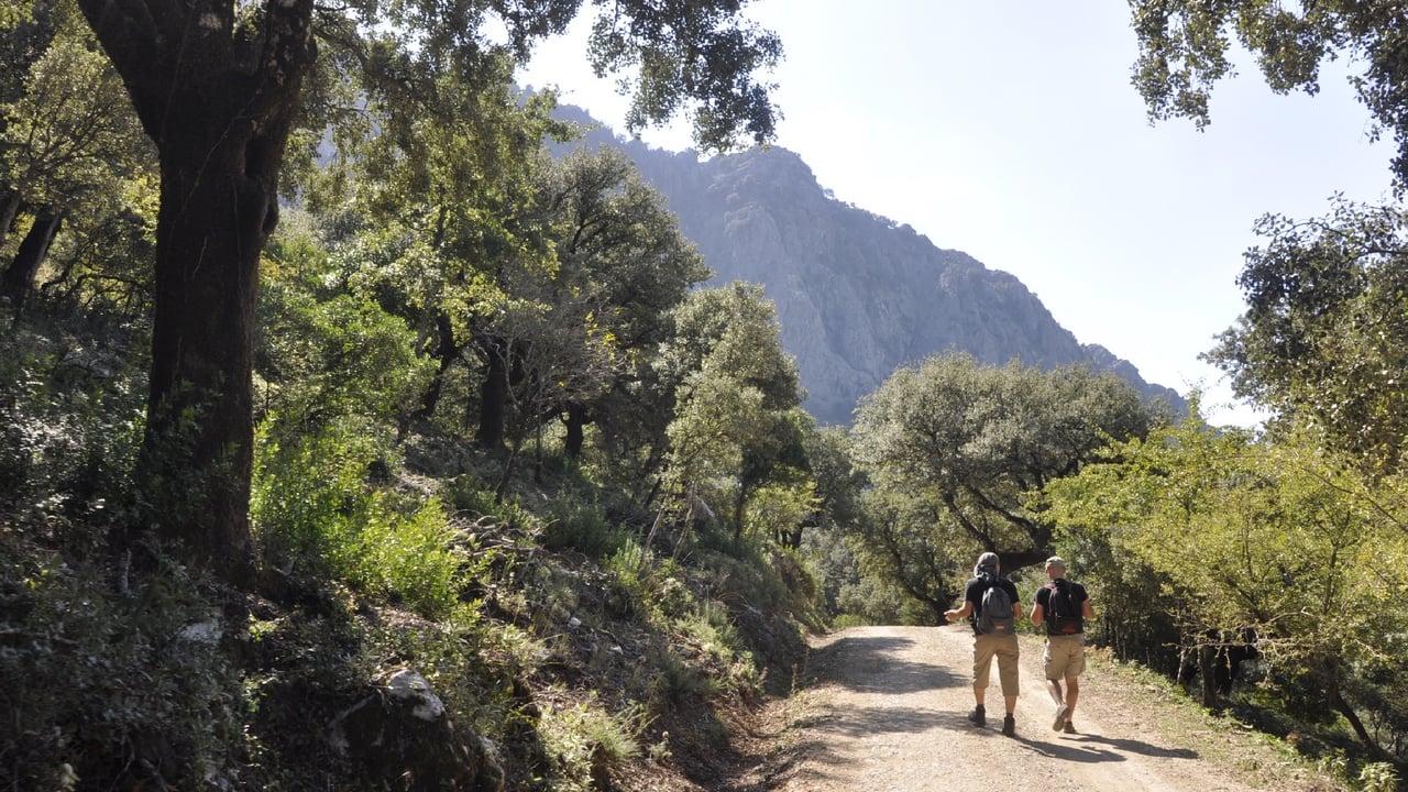 Andalucía a tus pies: senderos sencillos hacia las cumbres más espectaculares