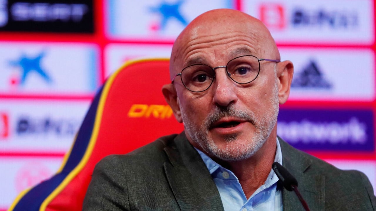 Un argentino, inesperado ofrecimiento para Luis de la Fuente