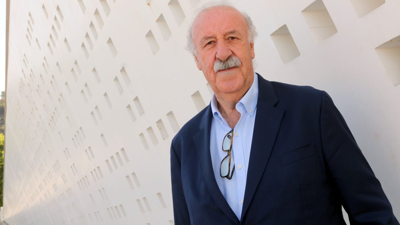 Vicente del Bosque lo deja