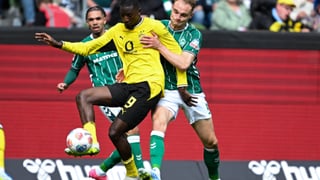 La opción de Serhou Guirassy para reforzar la delantera del Atlético de Madrid