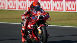 Al gato de Marc Márquez no lo mata nadie