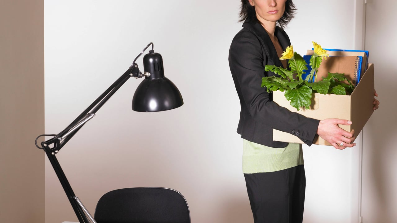 La IA amenaza el futuro laboral de los jóvenes