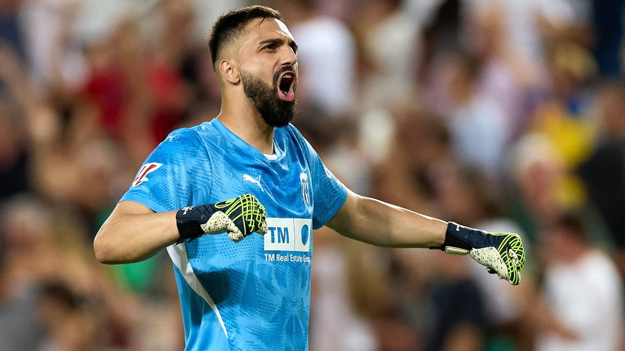 Aumenta la oferta por Mamardashvili