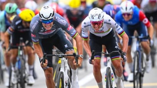 Tadej Pogacar mete miedo y Mathieu Van der Poel explica su renuncia