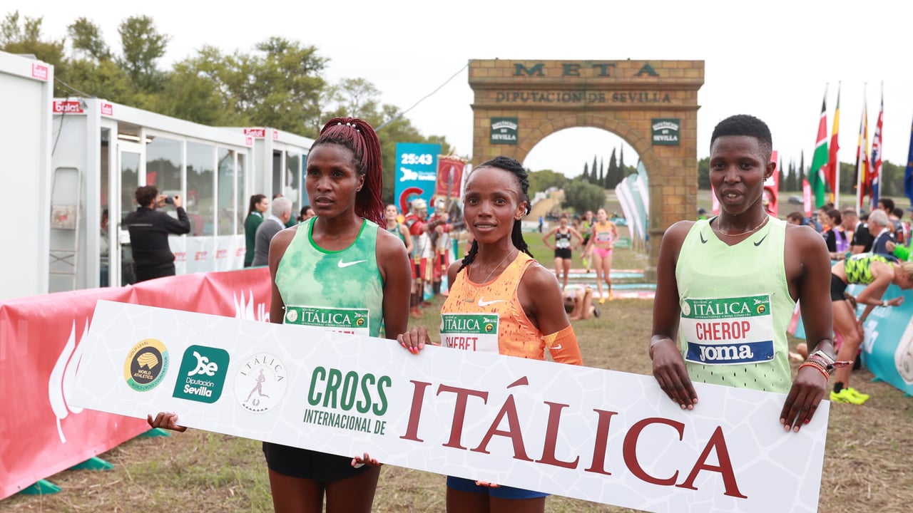 Gran ritmo de las inscripciones de cara a esta nueva edición del Cross Internacional de Itálica