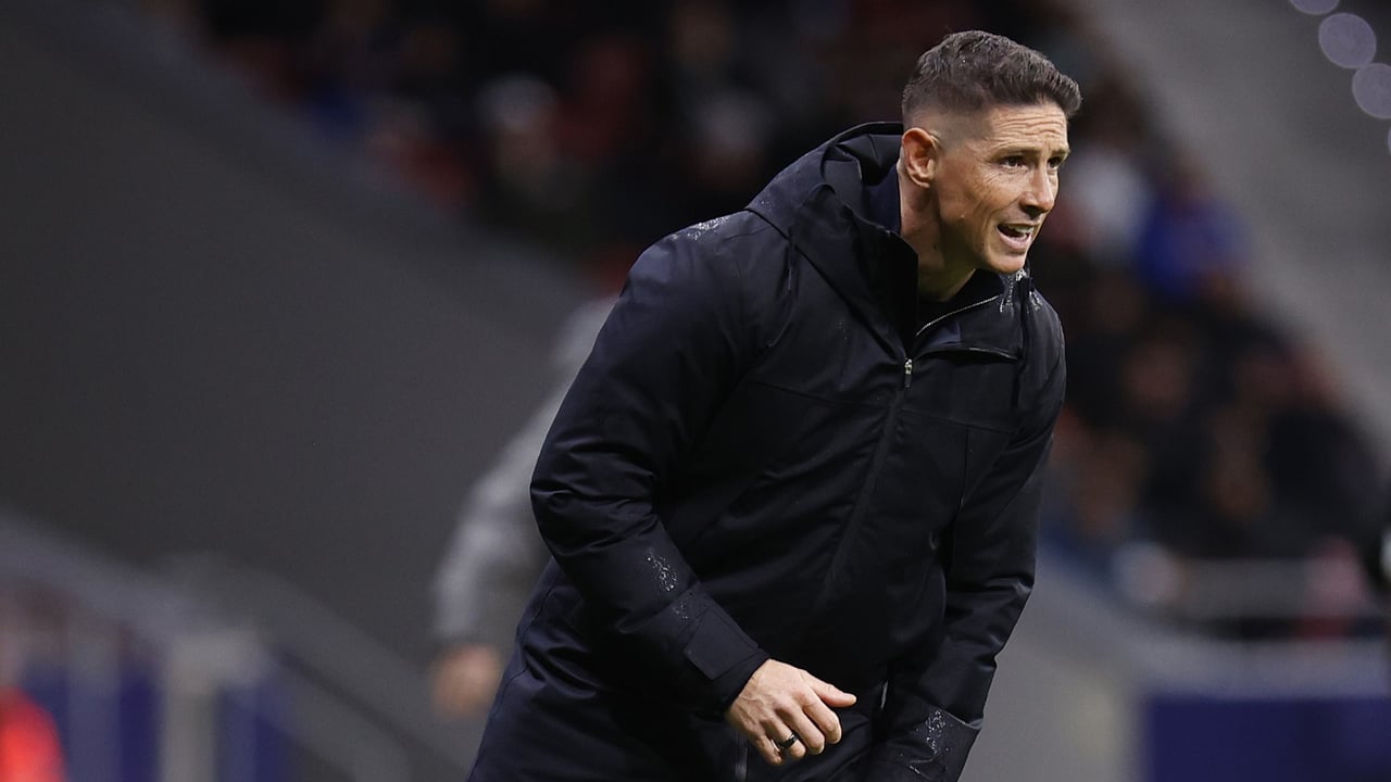 Paso al frente por Fernando Torres