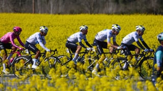 Peligro de descenso para el Movistar Team