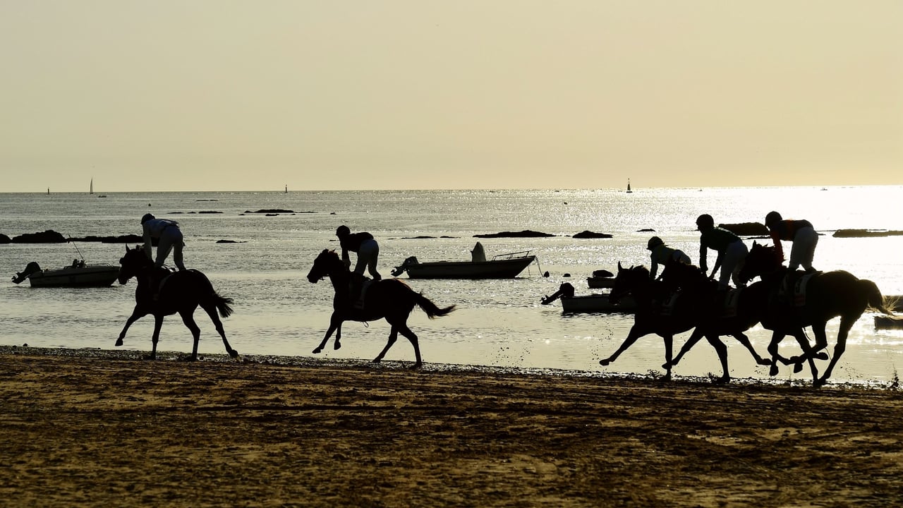 Las playas de Andalucía en las que está prohibido fumar en 2025