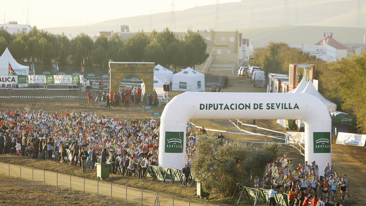 Las inscripciones y costes de una nueva edición del Cross Internacional de Itálica
