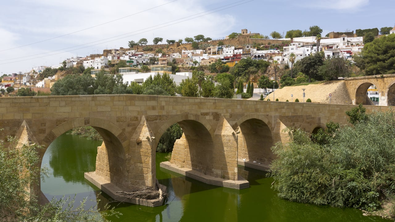 El pueblo de Sevilla donde se hace el mejor pan tradicional