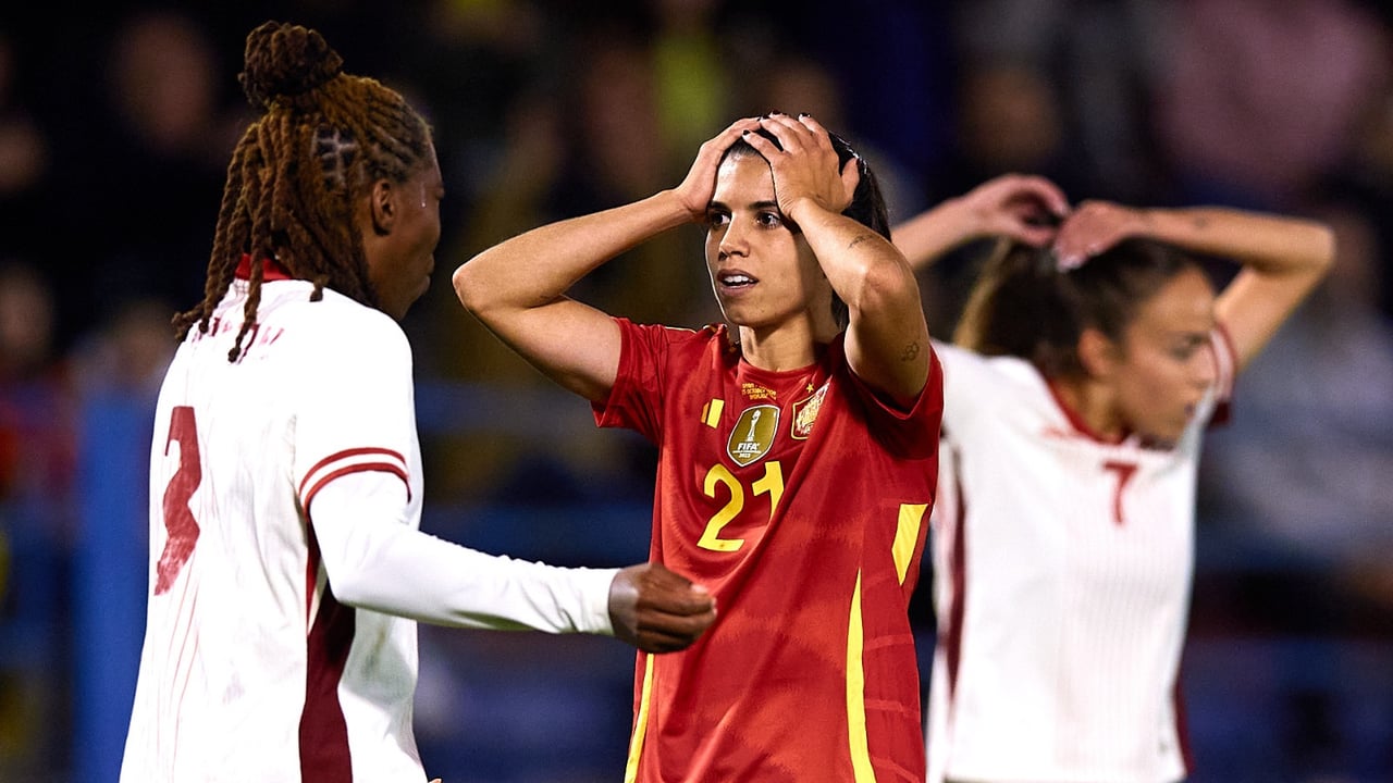 Sorprendente imagen en el España - Canadá